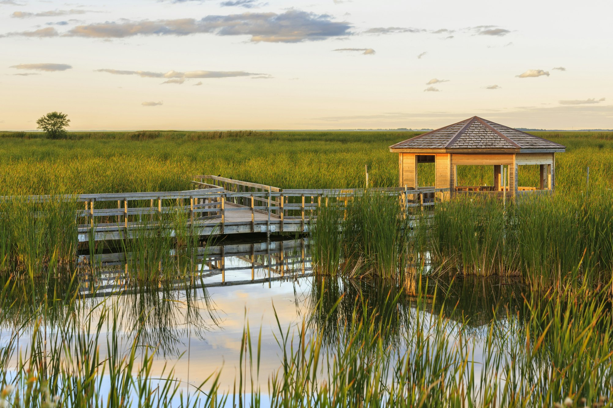 Wildlife viewing blind, Oak Hammock Marsh, Manitoba, Canada