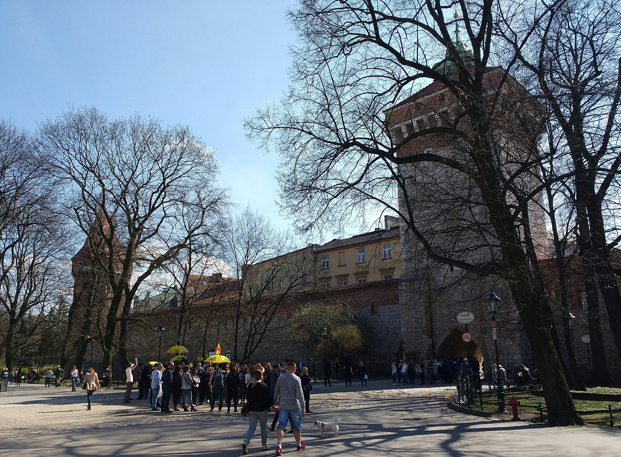 Remaining section of Kraków's medieval defensive wall