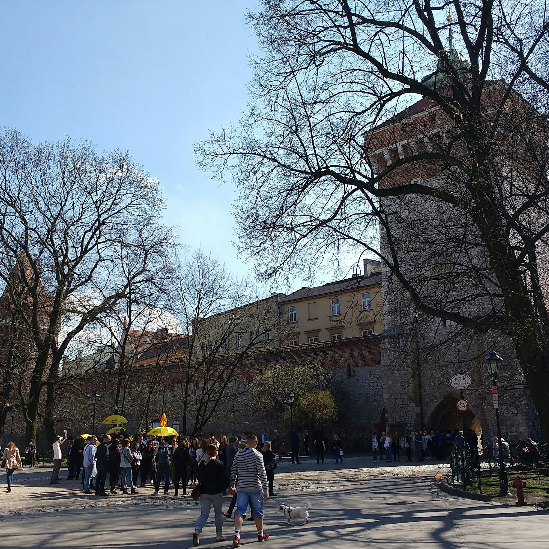 Remaining section of Kraków's medieval defensive wall