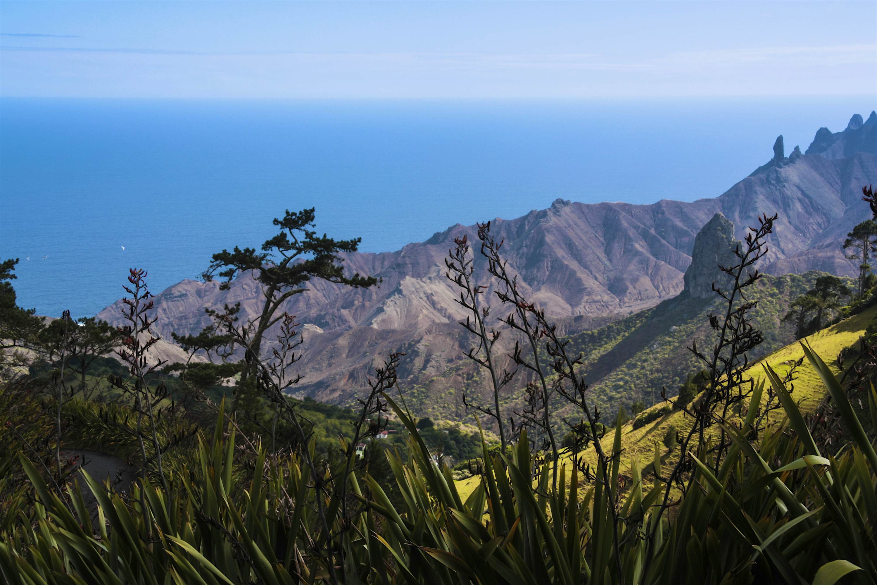 St Helena travel | Africa - Lonely Planet