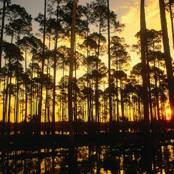 Sunset on the road from Tallahassee - Wakulla Springs State Park, Florida
