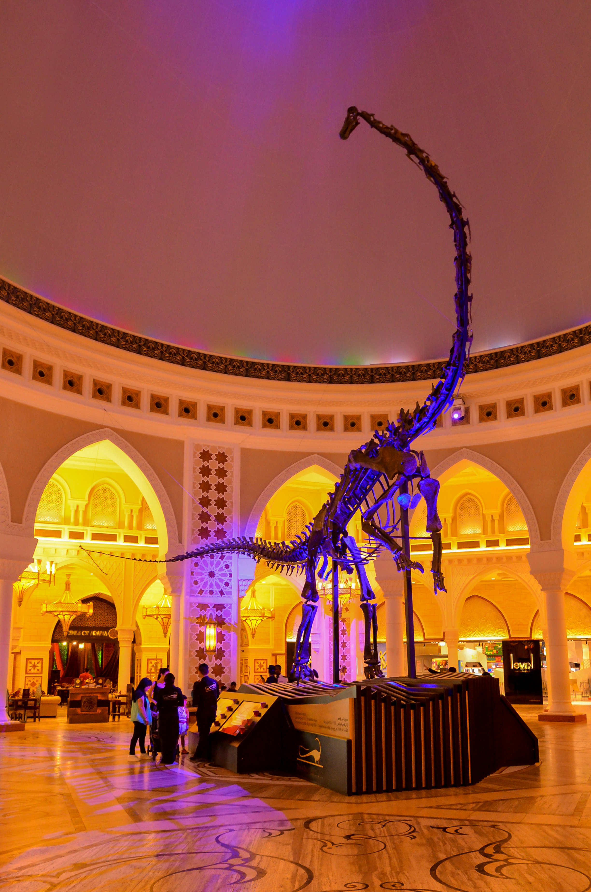Dinosaur Skeleton in Dubai Mall, Dubai Downtown, United Arab Emirates, UAE, 6th May 2015; Shutterstock ID 646770508; Your name (First / Last): Lauren Keith; GL account no.: 65050; Netsuite department name: Online Editorial; Full Product or Project name including edition: Authentic Dubai Article