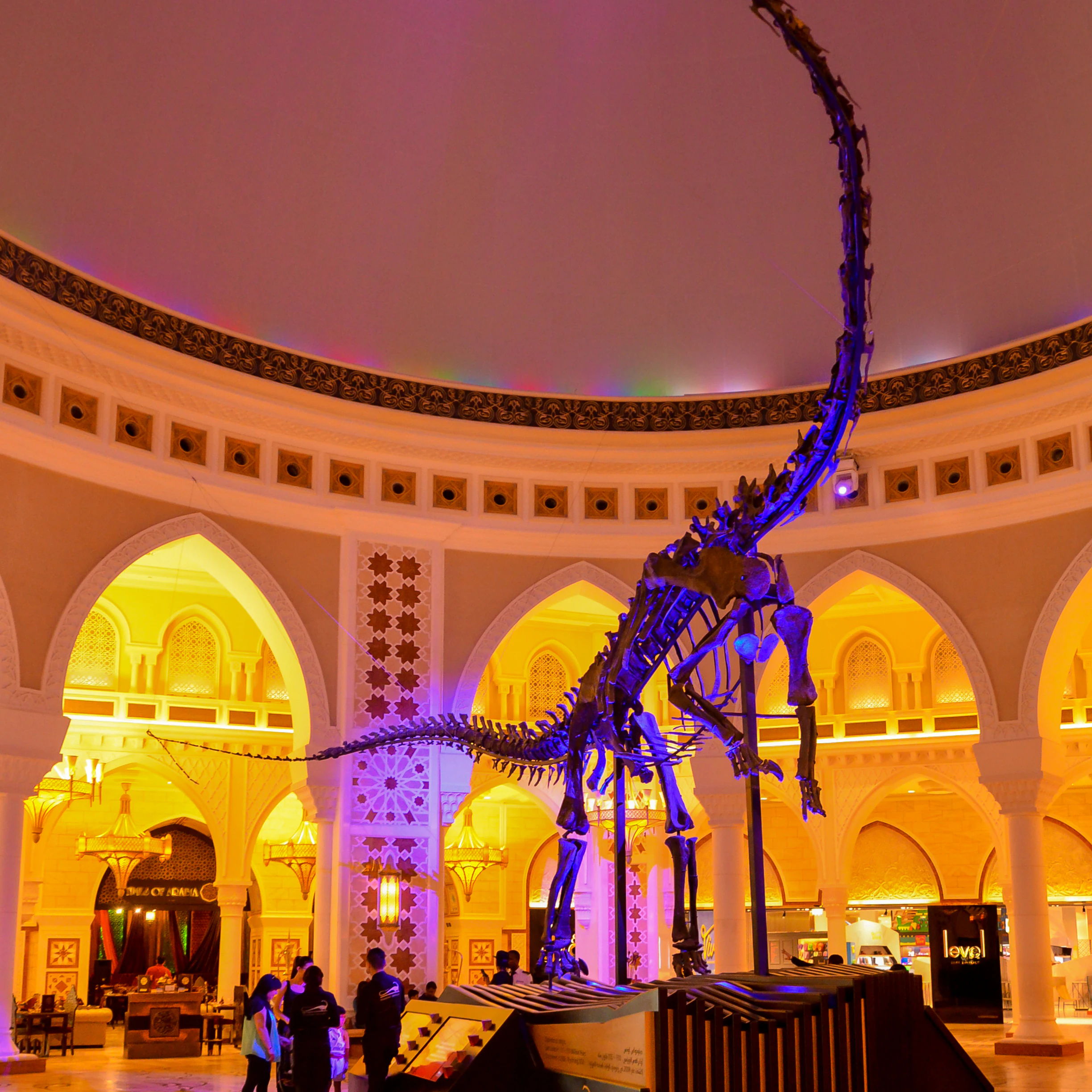 Dinosaur Skeleton in Dubai Mall, Dubai Downtown, United Arab Emirates, UAE, 6th May 2015; Shutterstock ID 646770508; Your name (First / Last): Lauren Keith; GL account no.: 65050; Netsuite department name: Online Editorial; Full Product or Project name including edition: Authentic Dubai Article