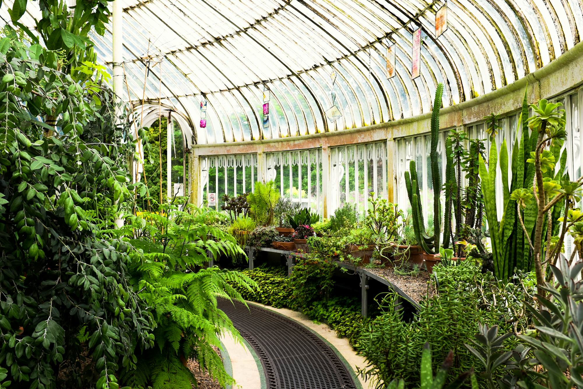 Botanic Gardens | Belfast, Northern Ireland | Sights - Lonely Planet