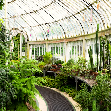 500px Photo ID: 122593437 - Palm House in the Belfast Botanic Gardens
