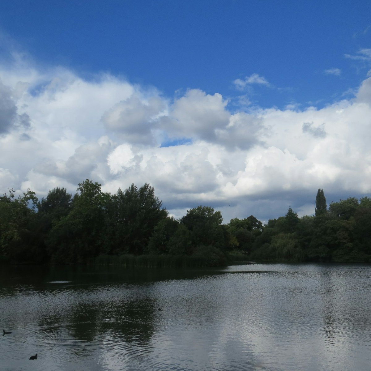 The lake inside Battersea Park