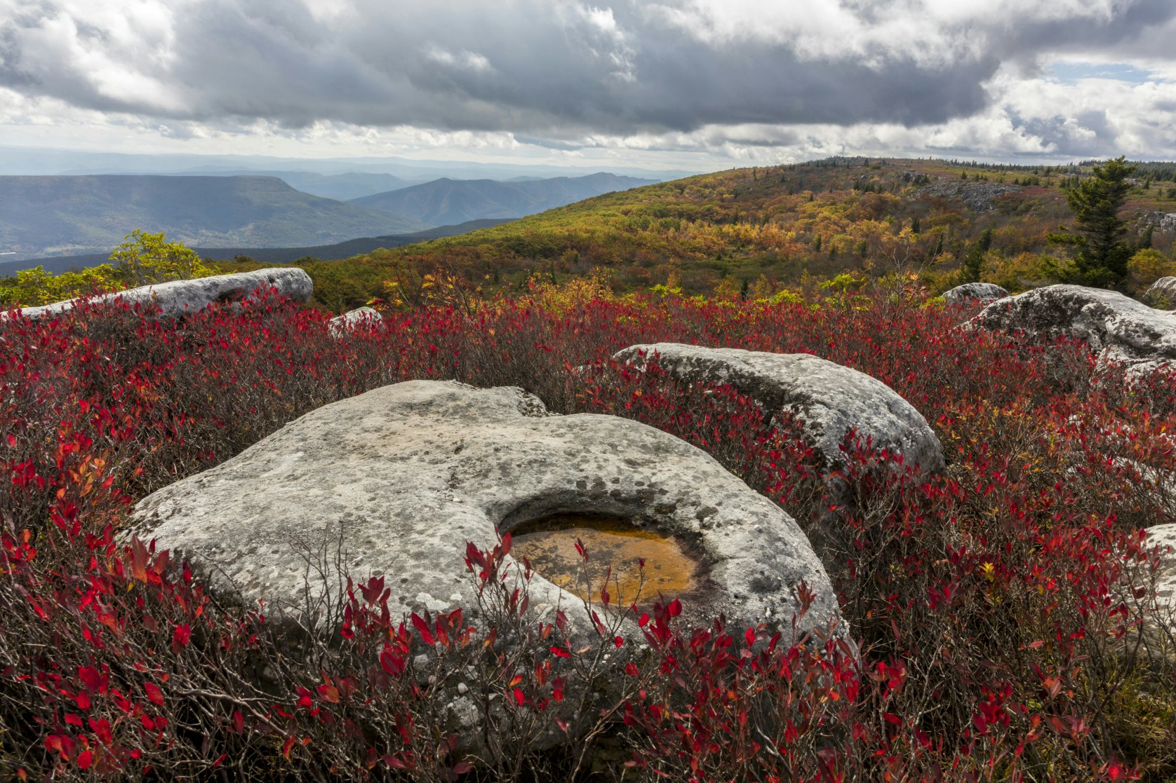 Bear Rocks are a widely recognized symbol of West Virginia wilderness and among the most frequently photographed places in the state. They are a well-known landmark on the eastern edge of the plateau that includes the Dolly Sods Wilderness. They sit in a high-elevation heathland punctuated with wind-carved sandstone outcrops and is home to more than a dozen rare plant and animal species. Situated on the crest of the Allegheny Front, Bear Rocks afford vistas over the South Branch Potomac River. Visibility can extend eastward to the Shenandoah National Park in Virginia. The Bear Rocks Preserve is a 1.93 km2 tract that is owned and preserved by The Nature Conservancy.