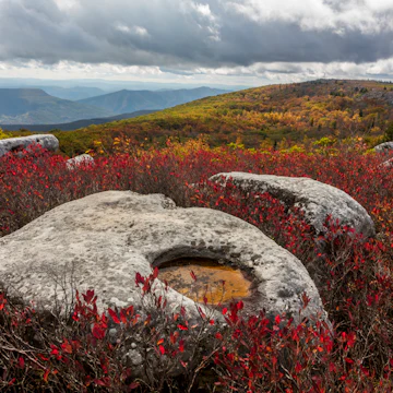 Bear Rocks are a widely recognized symbol of West Virginia wilderness and among the most frequently photographed places in the state. They are a well-known landmark on the eastern edge of the plateau that includes the Dolly Sods Wilderness. They sit in a high-elevation heathland punctuated with wind-carved sandstone outcrops and is home to more than a dozen rare plant and animal species. Situated on the crest of the Allegheny Front, Bear Rocks afford vistas over the South Branch Potomac River. Visibility can extend eastward to the Shenandoah National Park in Virginia. The Bear Rocks Preserve is a 1.93 km2 tract that is owned and preserved by The Nature Conservancy.