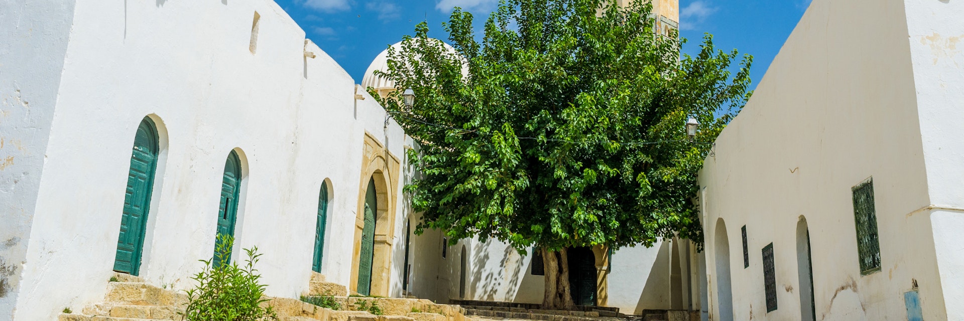 The scenic facade of Zaouia Sidi Abdallah Boumakhlouf is hidden behind the lush green tree, El Kef, Tunisia.; Shutterstock ID 356417552