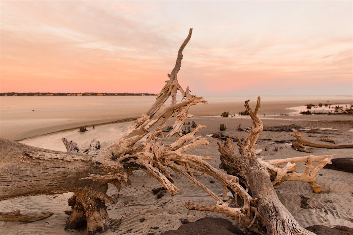Top things to do in Jekyll Island - Lonely Planet