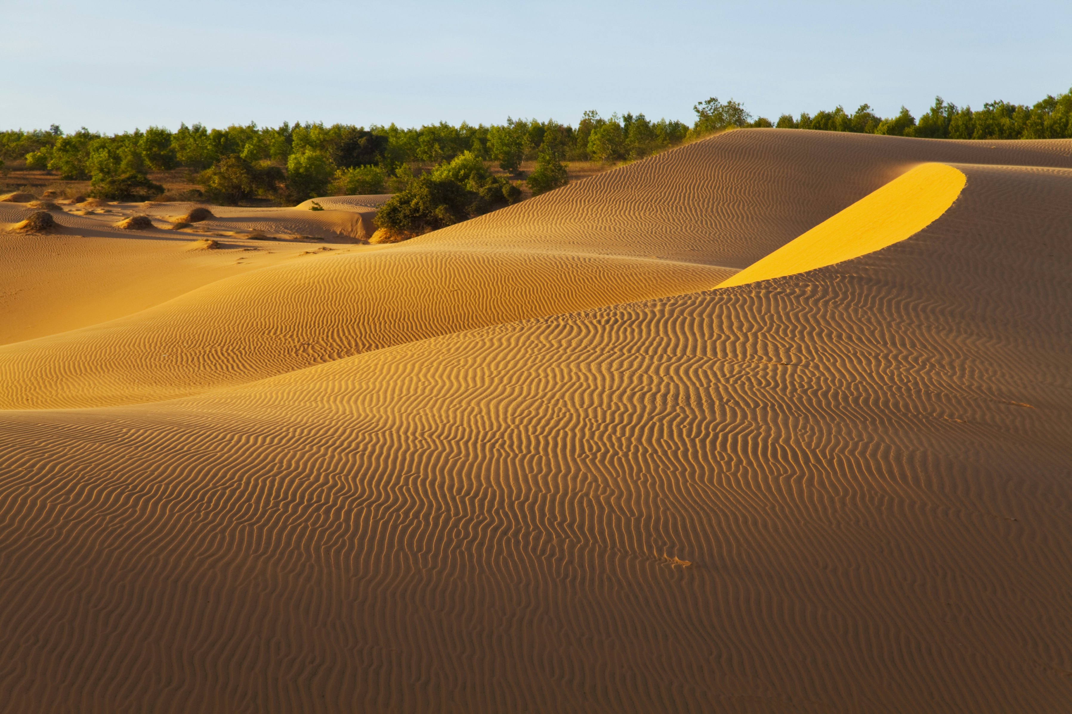 Patterns in sand on Red Sand Dunes.