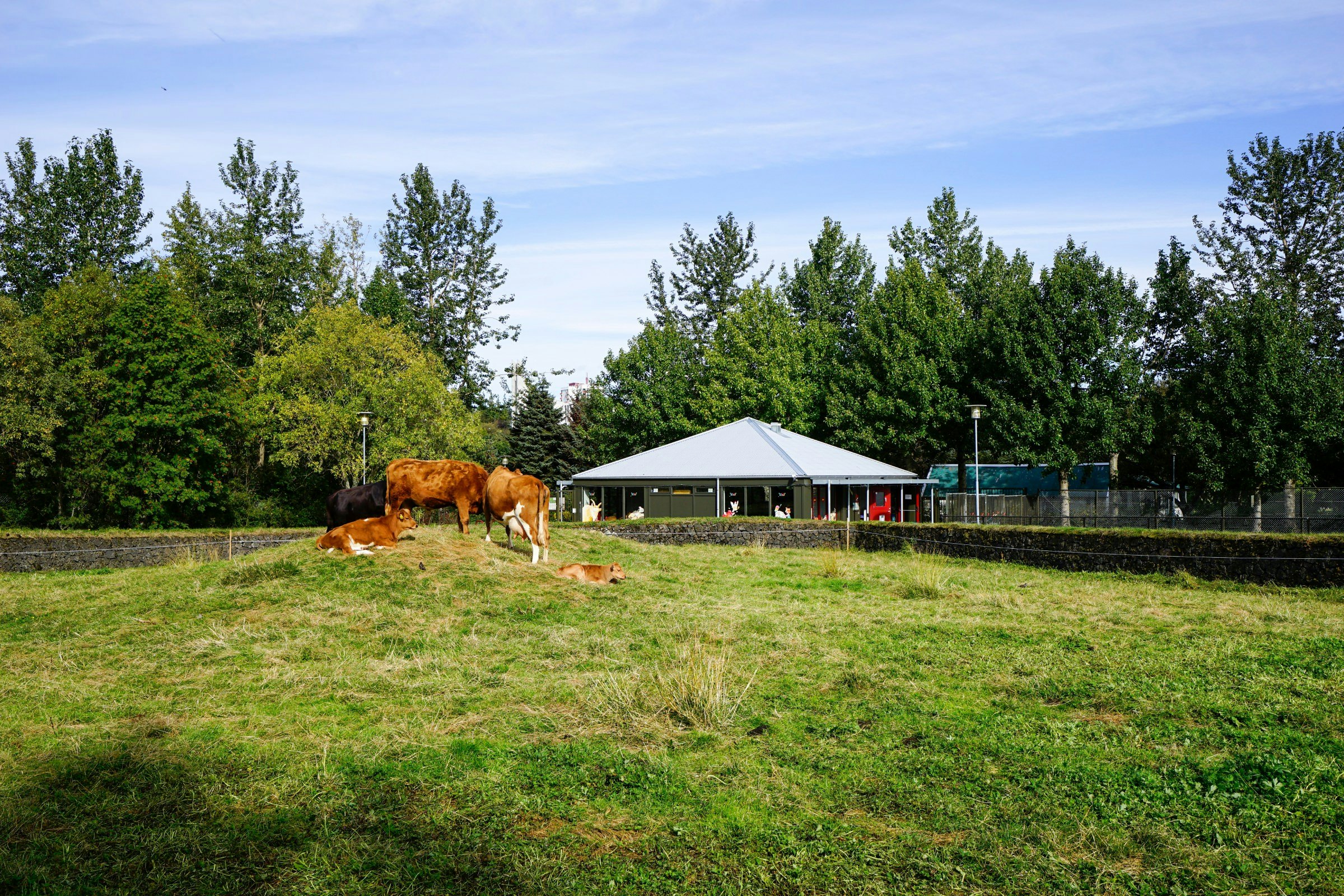 Reykjavík Zoo and Family Park