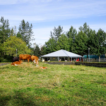 Reykjavík Zoo and Family Park