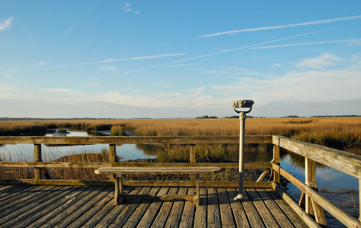 Marsh viewer and bench