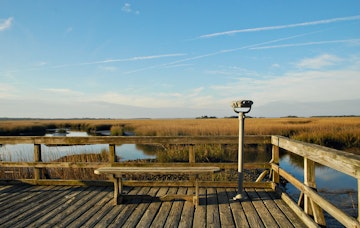 Marsh viewer and bench