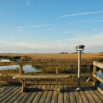 Marsh viewer and bench