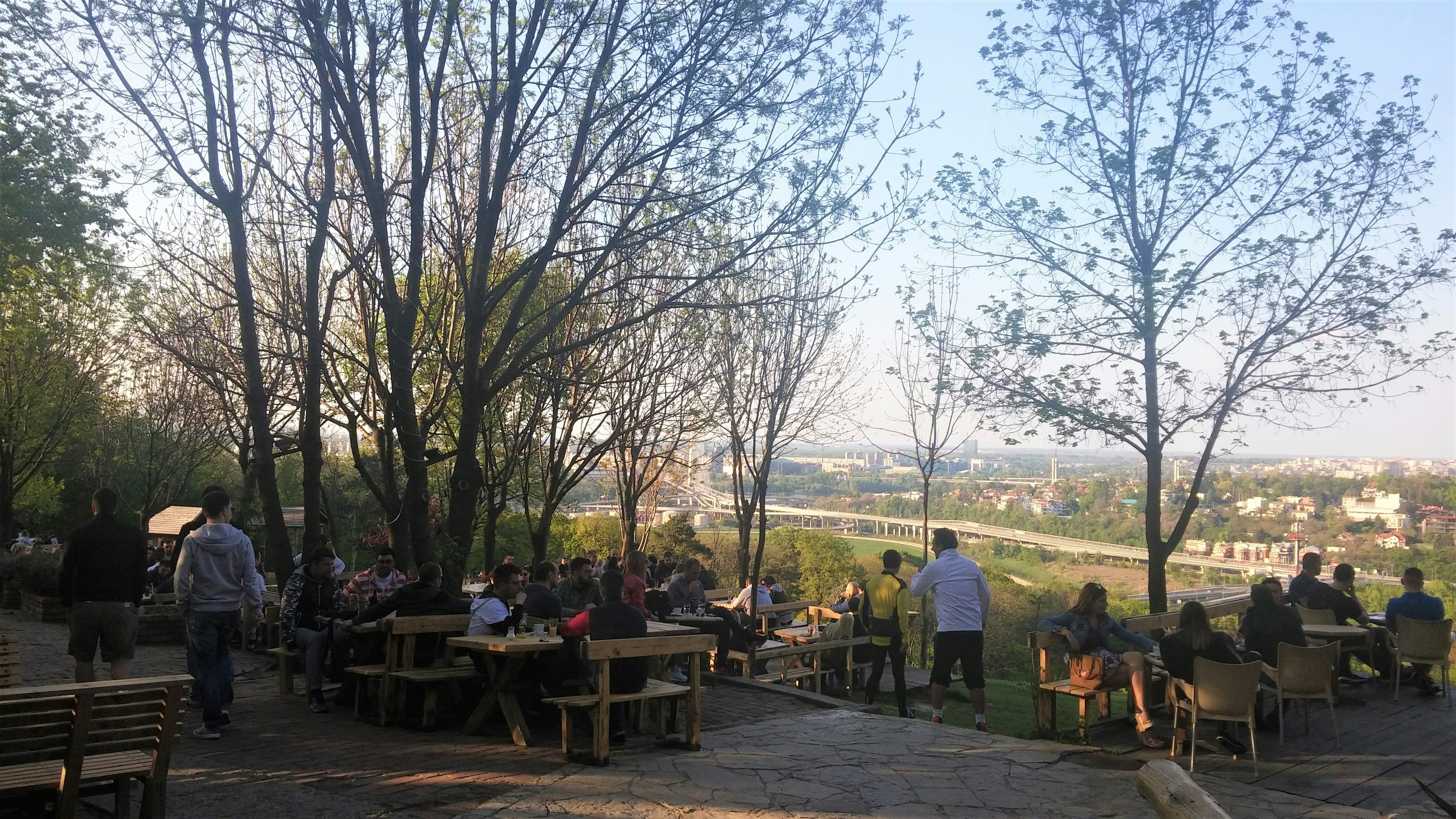 Image of Košutnjak Hill