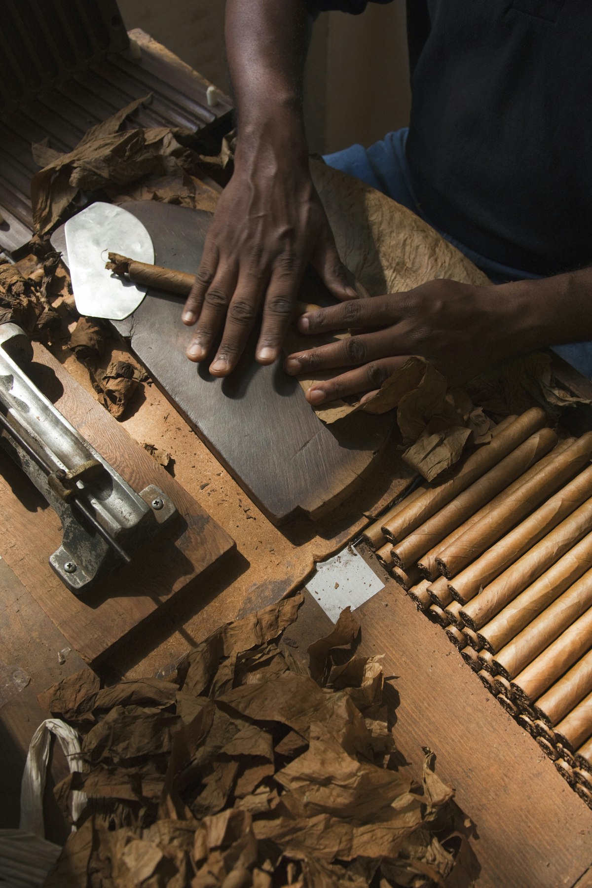 Cohiba cigars made by hand at the Boutique del Fumador cigar factory, Santo Domingo, Zona Colonial, Dominican Republic