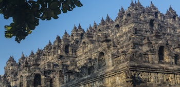 Item photo for undefined