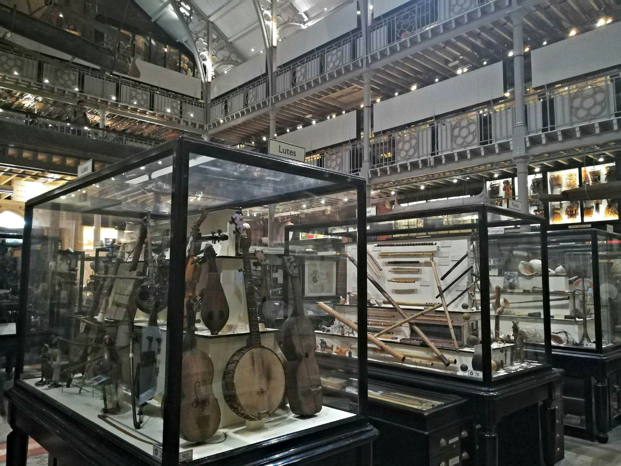 Displays in the Pitt Rivers Museum.