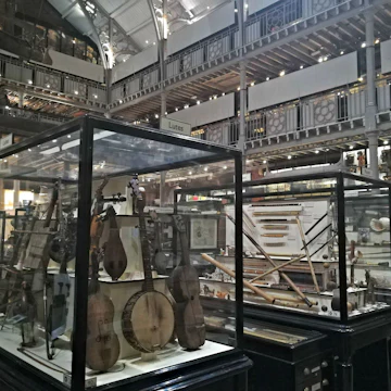 Displays in the Pitt Rivers Museum.