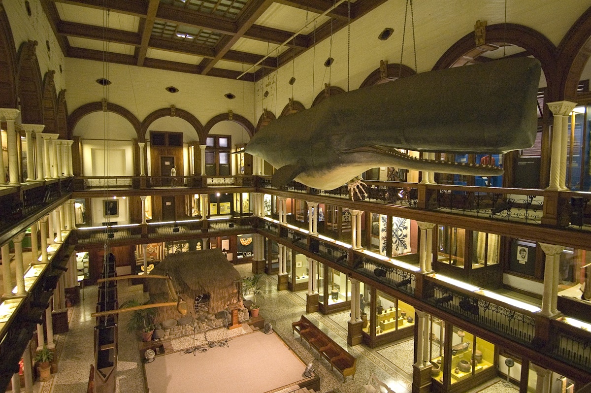 Interior of Bishop Museum, main gallery with sperm whale hanging from ceiling.