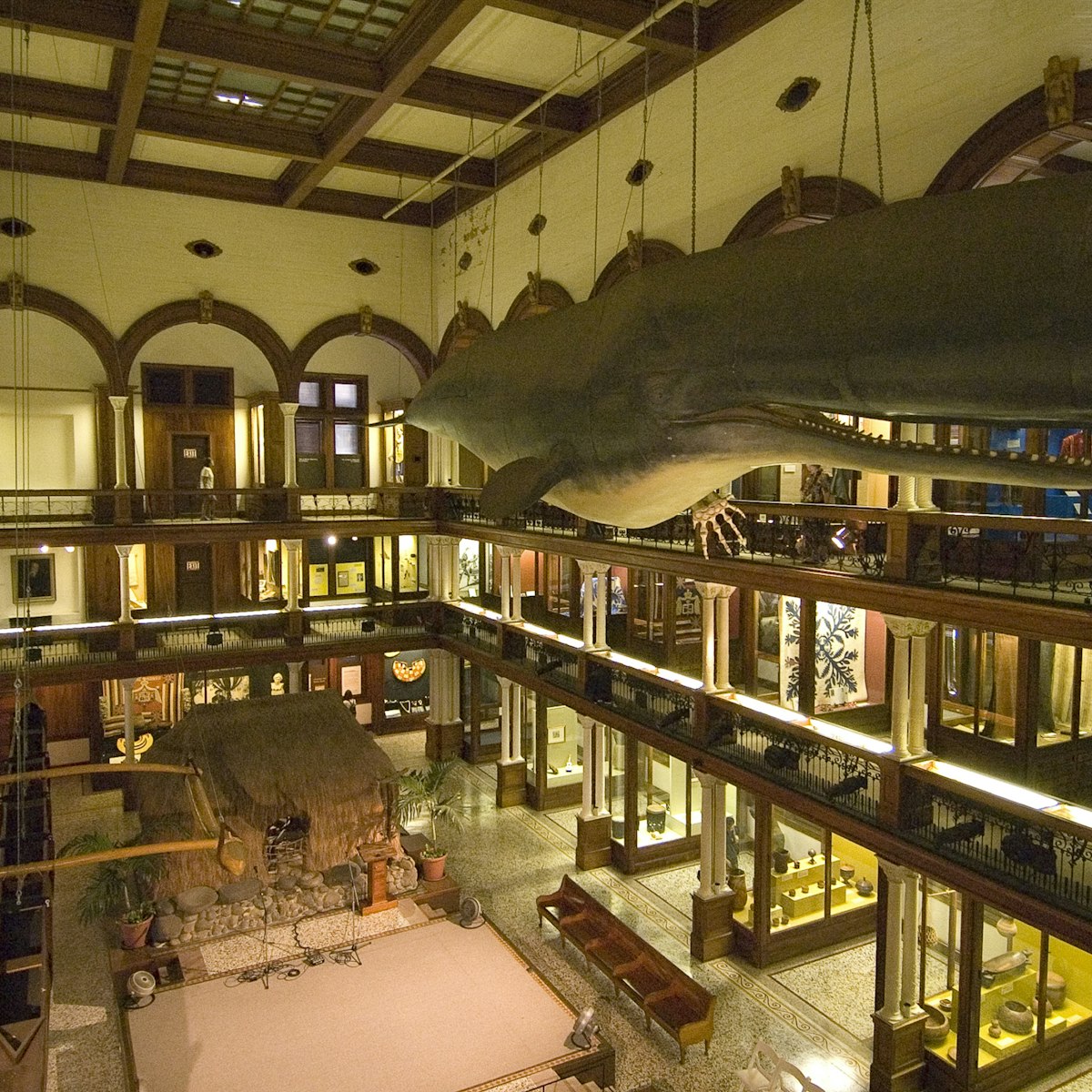 Interior of Bishop Museum, main gallery with sperm whale hanging from ceiling.