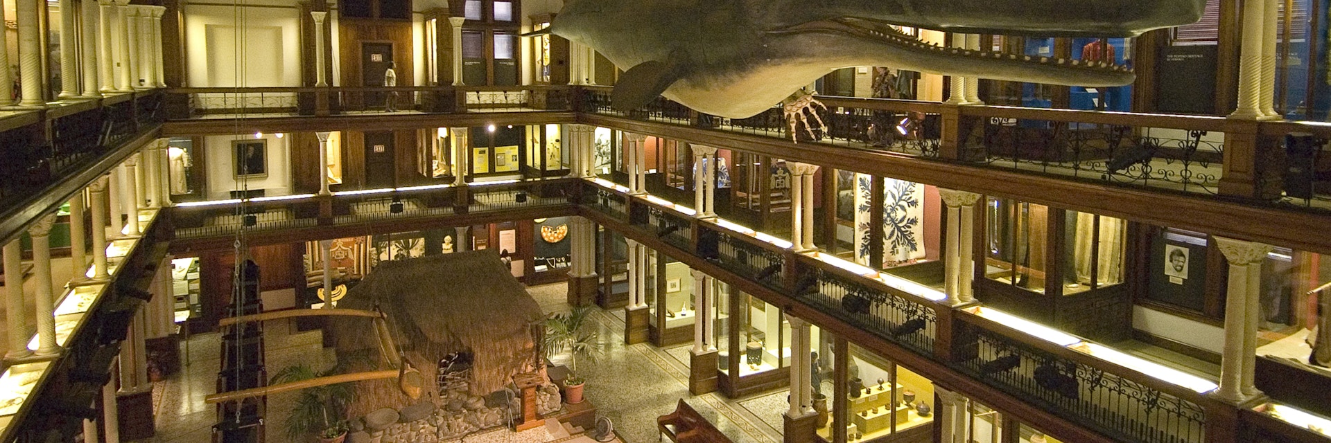 Interior of Bishop Museum, main gallery with sperm whale hanging from ceiling.
