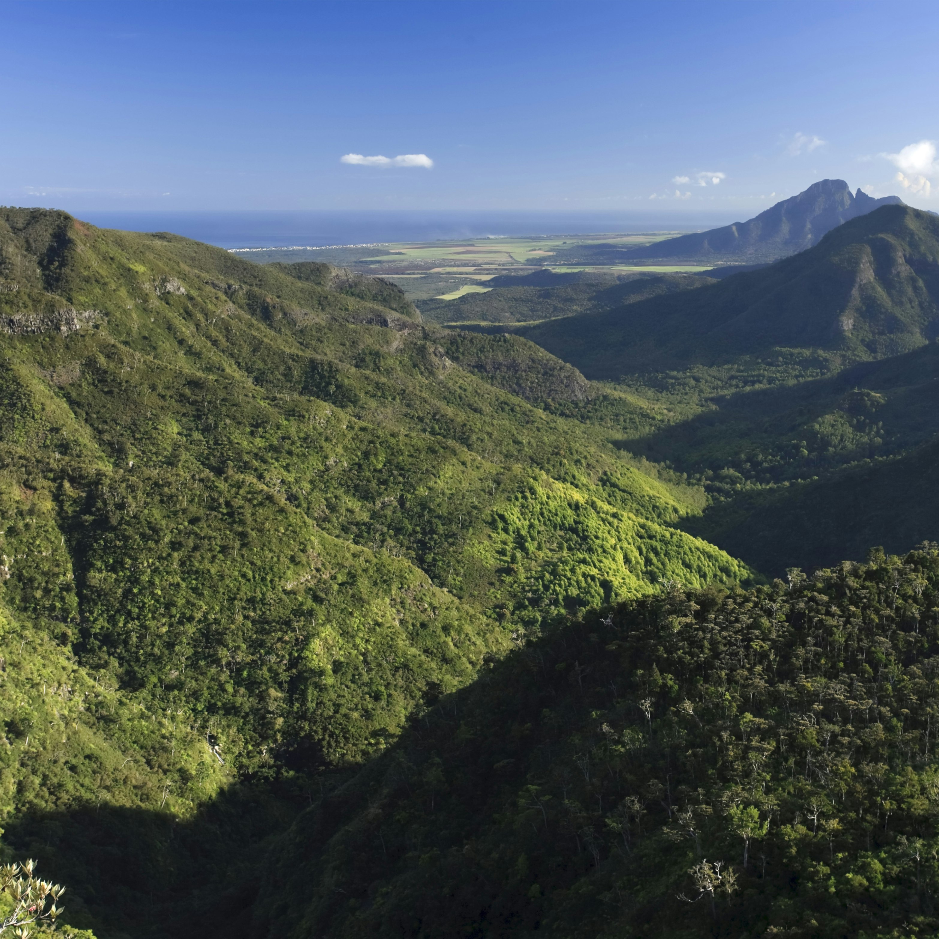 Mauritius, Black River Gorges National Park, Scenic view of mountains
