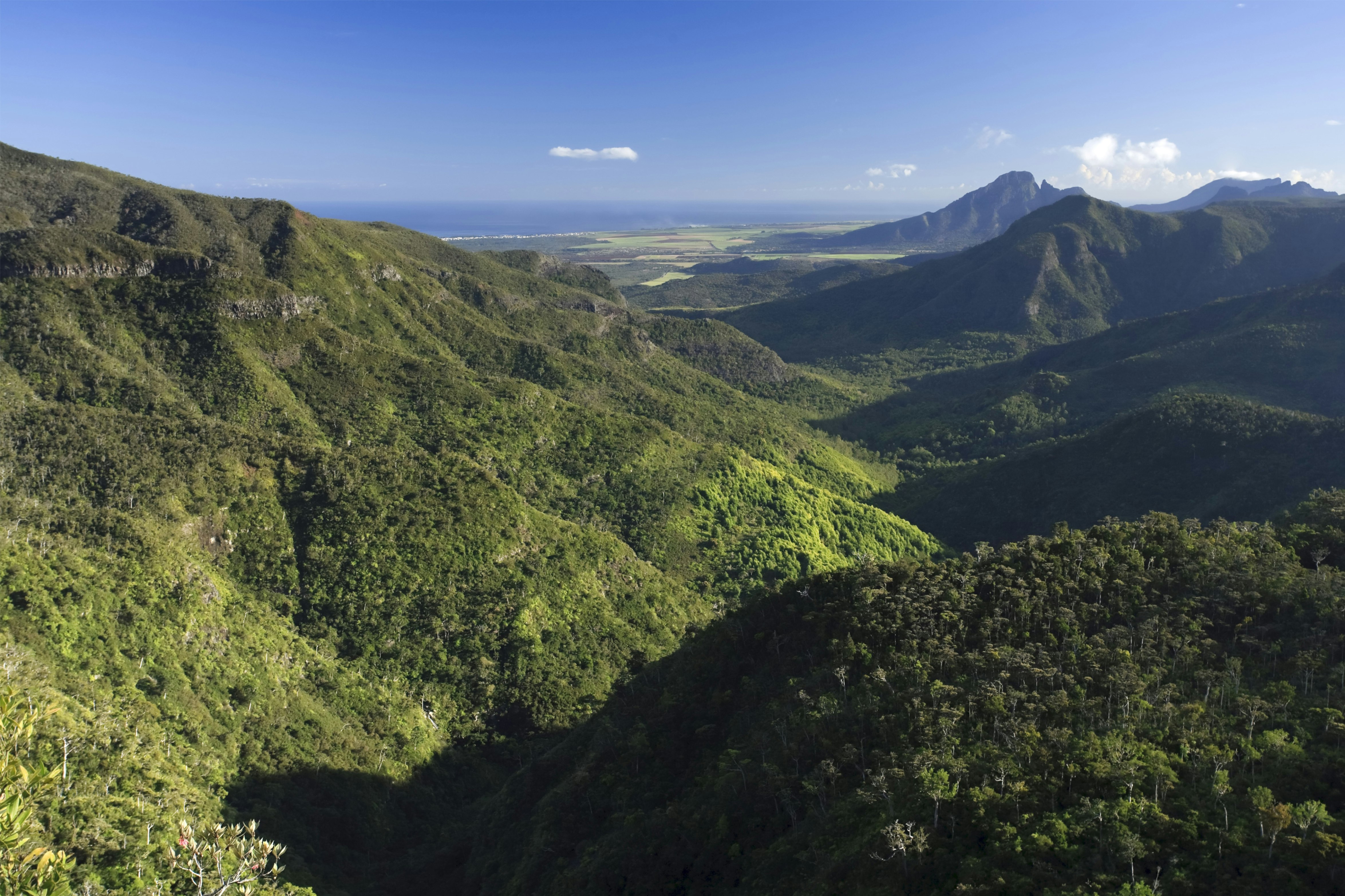View of green hills at Black River Gorges National Park, Mauritius