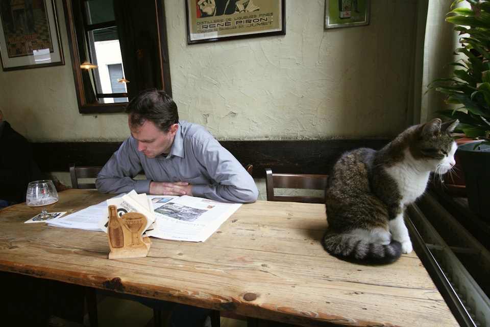 Man reading near cat on table at Jenever cafe De Vagant on Reyndersstraat.