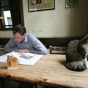 Man reading near cat on table at Jenever cafe De Vagant on Reyndersstraat.