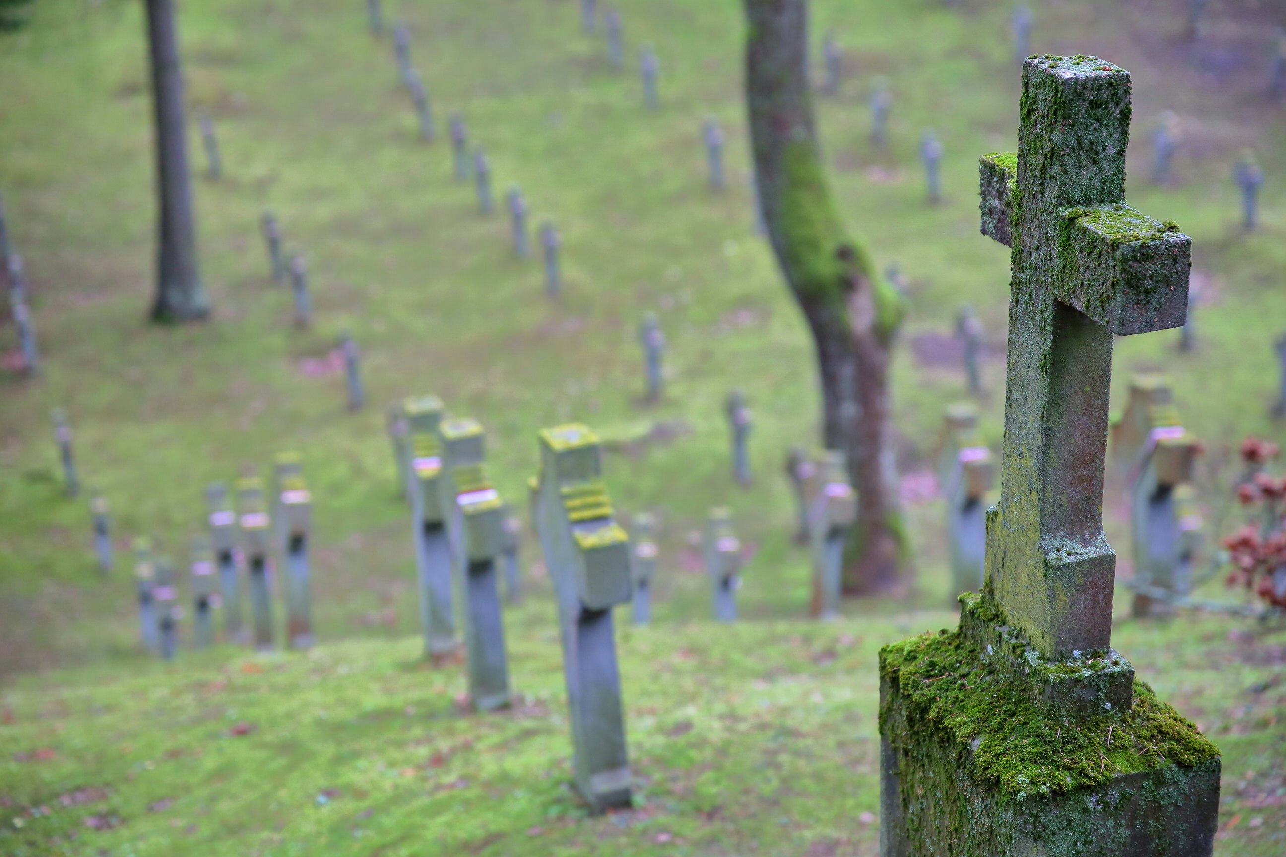 Image of Antakalnis Cemetery
