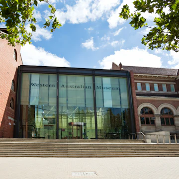 Western Australian Museum