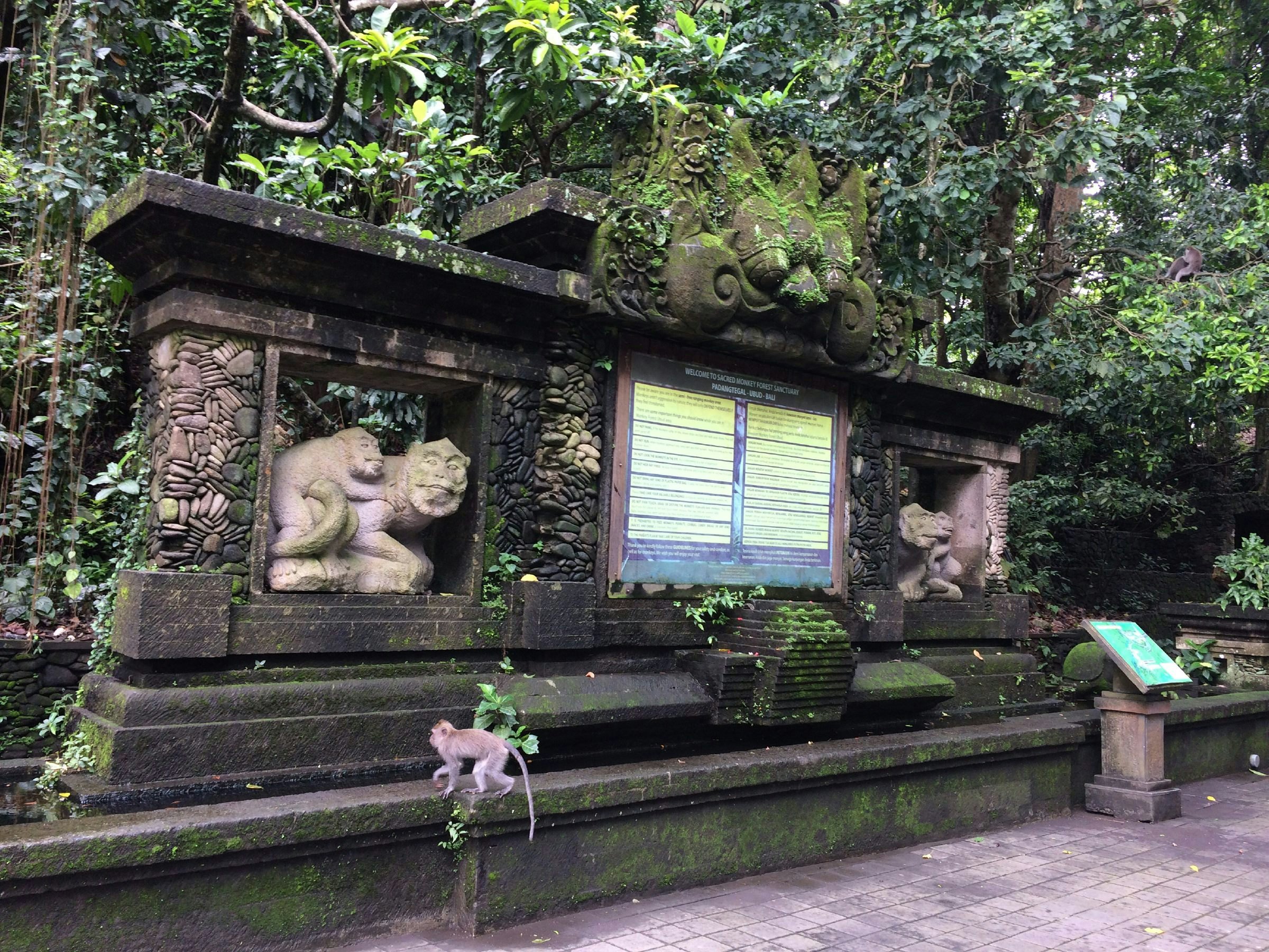 Sacred Monkey Forest Sanctuary