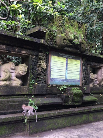Sacred Monkey Forest Sanctuary