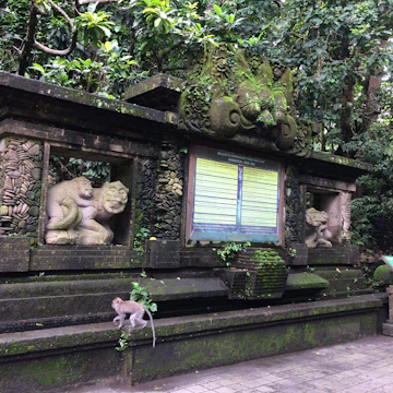 Sacred Monkey Forest Sanctuary