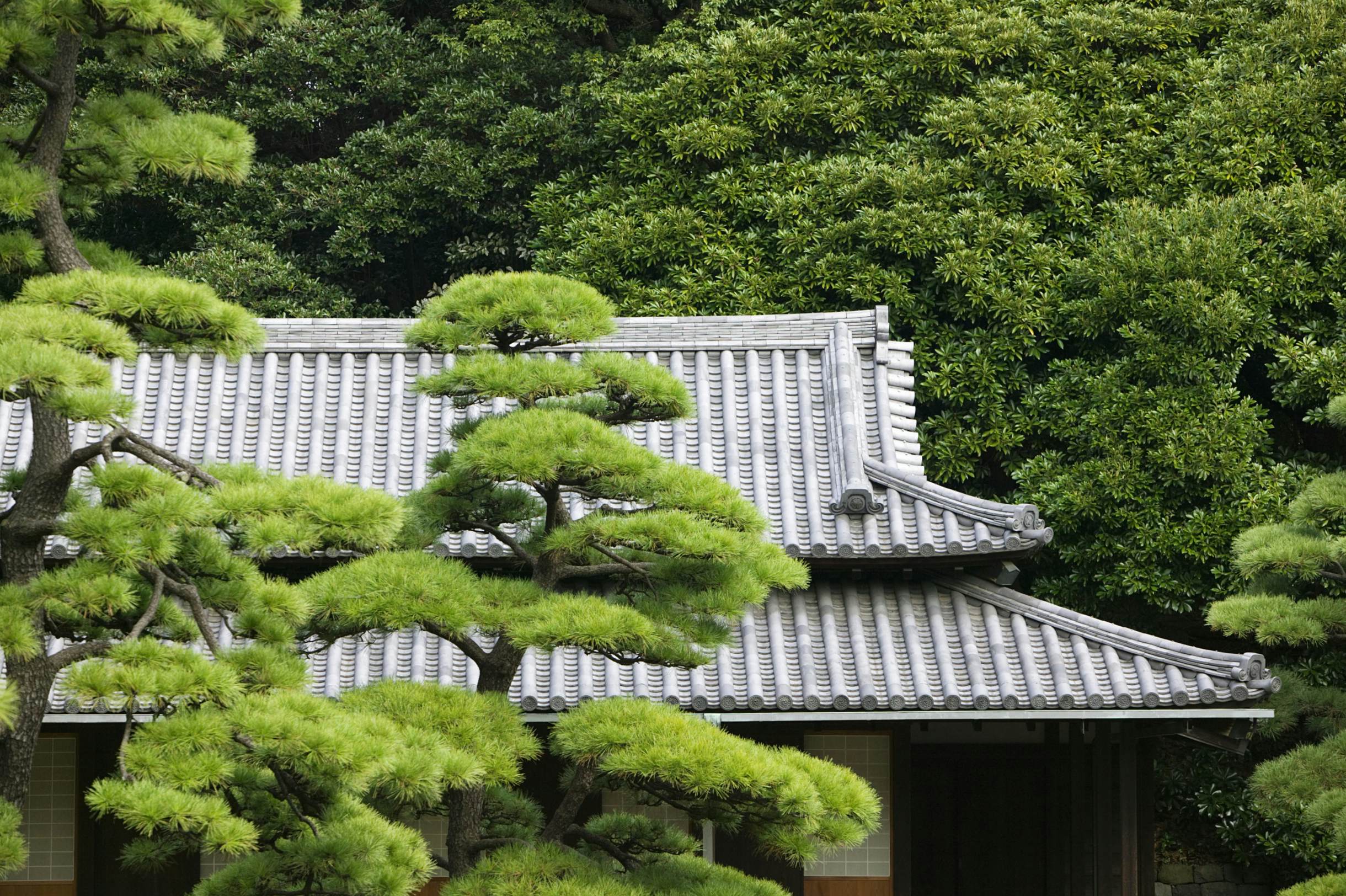 Imperial Palace East Garden Tokyo An Attractions Lonely Planet Imperial Palace East Garden Tokyo
