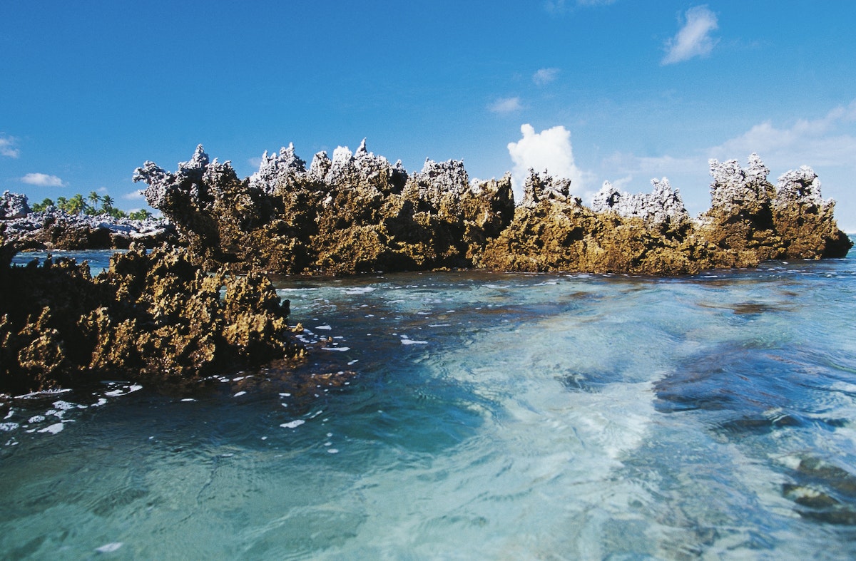 Fossilised coral formations, Rangiroa atoll, Tuamotu Archipelago, French Polynesia (overseas territory of the French Republic).