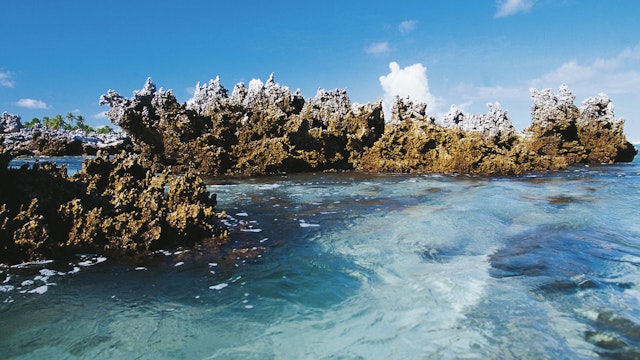 Fossilised coral formations, Rangiroa atoll, Tuamotu Archipelago, French Polynesia (overseas territory of the French Republic).