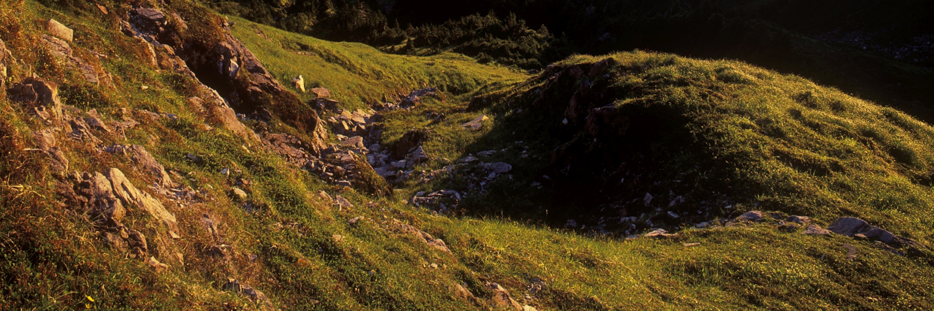 Takakia Lake at sunset, Moresby Island, Haida Gwaii, British Columbia, Canada.