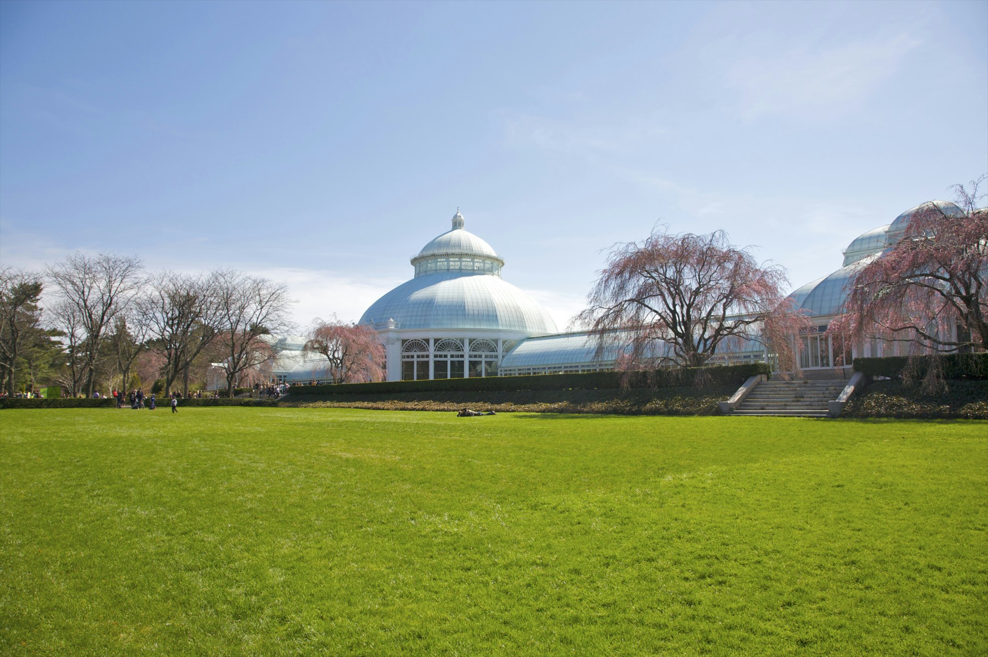 Huge expanse of green grass under white building