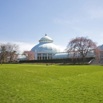 Huge expanse of green grass under white building