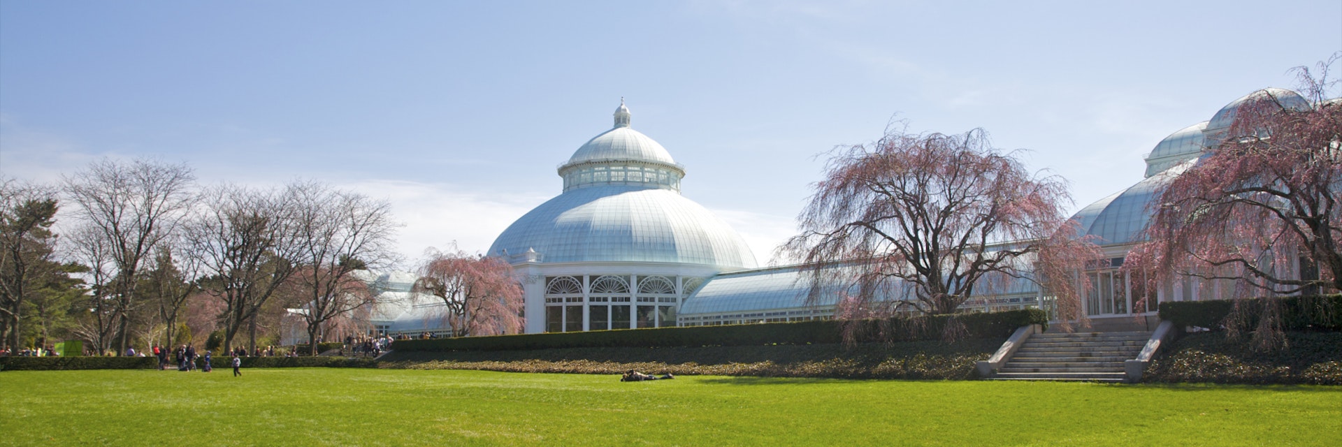 Huge expanse of green grass under white building
