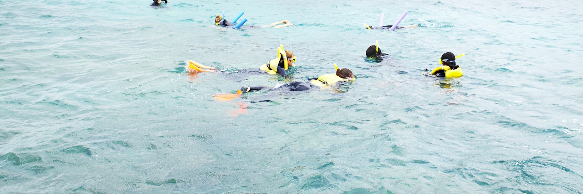 Tourists snorkeling offshore from Low Isles.