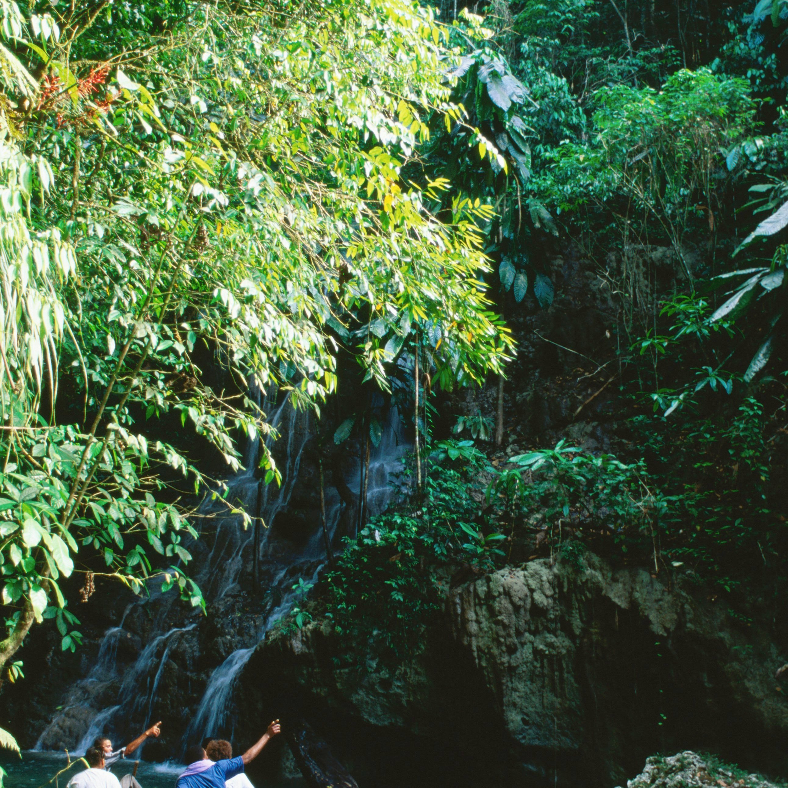 Admiring the scenery - Somerset Falls, Orange Bay.