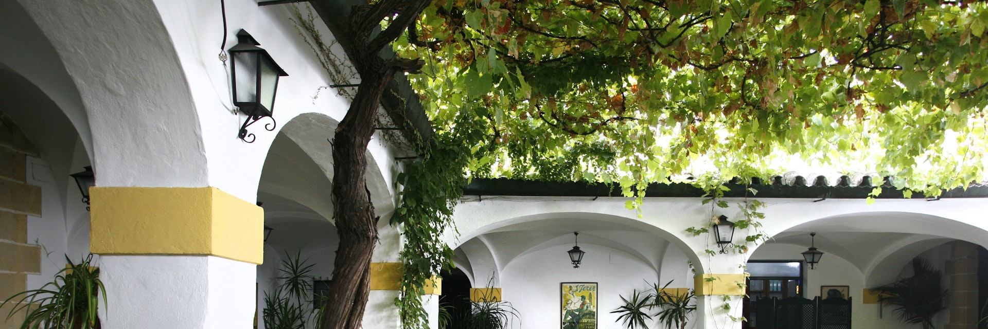 The Patio at Bodega Tradicion, Jerez de la Frontera, Andalucia, Spain.