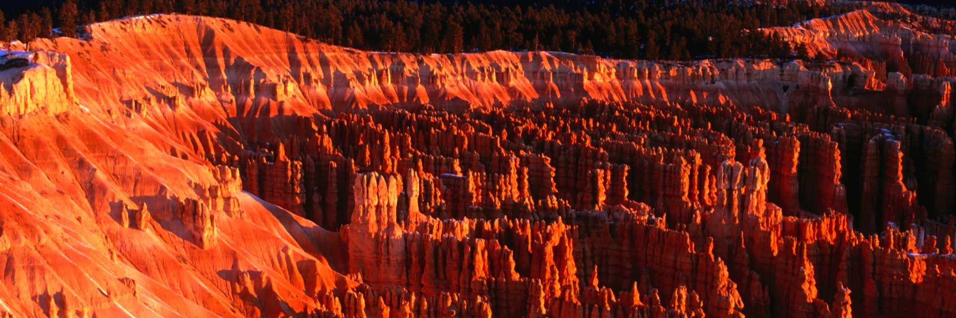 Winter time in Bryce Canyon National Park.