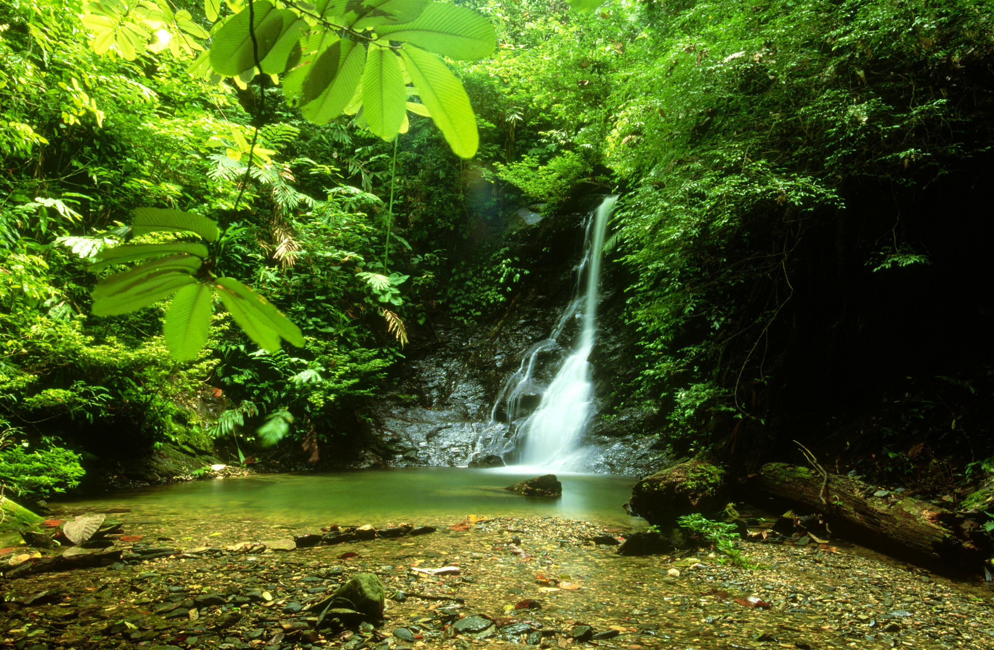 Ulu Temburong National Park travel Temburong District, Brunei