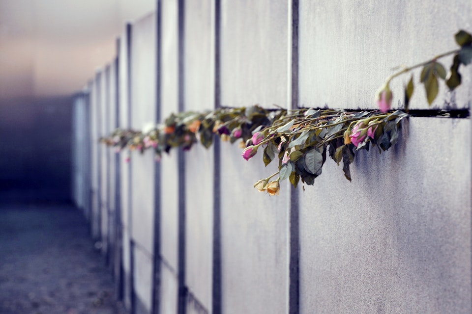 Roses protruding from the Berlin Wall